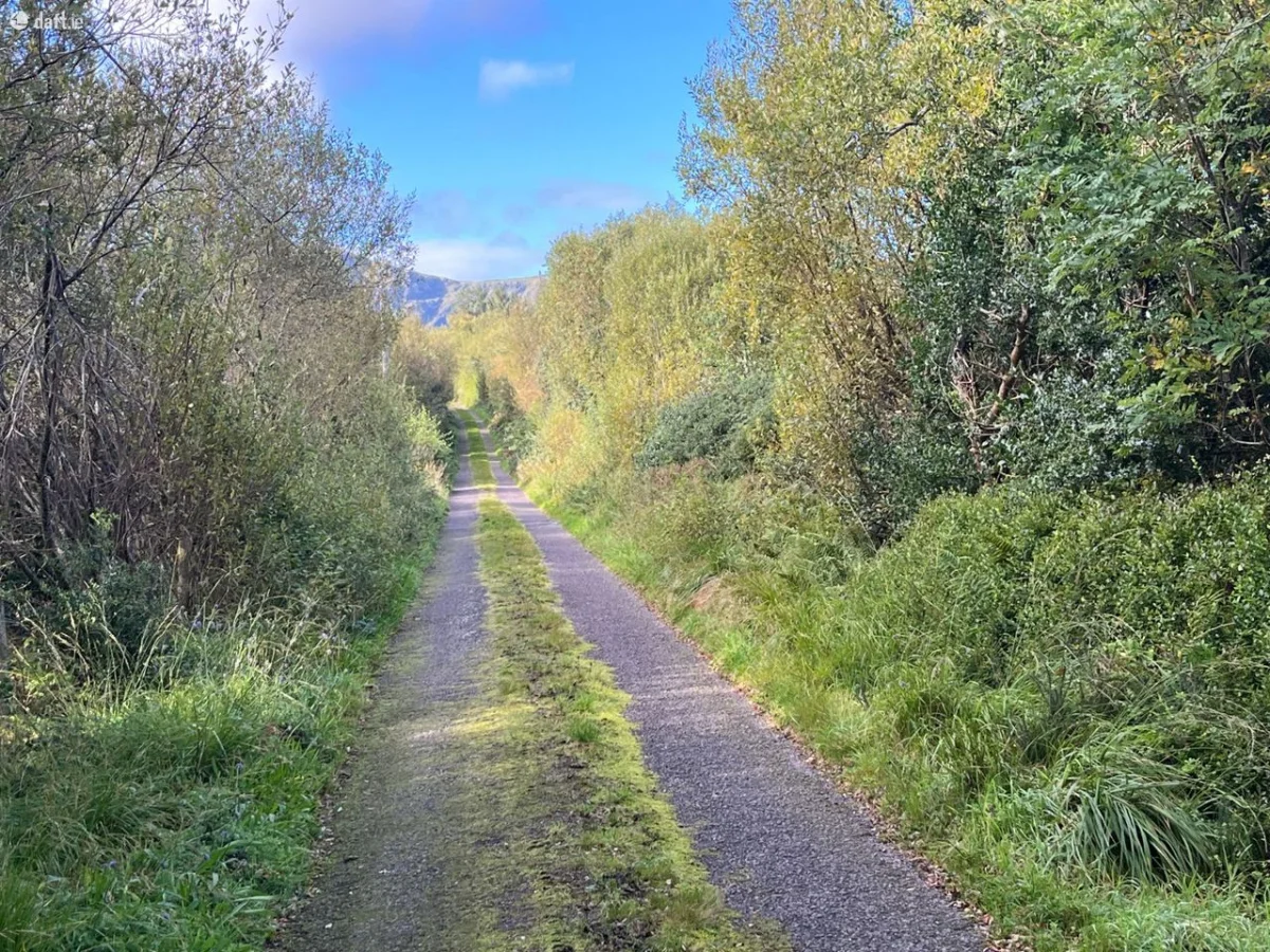 Kealduff Lower,Glenbeigh,Killarney,Co. Kerry, Glenbeigh, Co. Kerry - Image 3