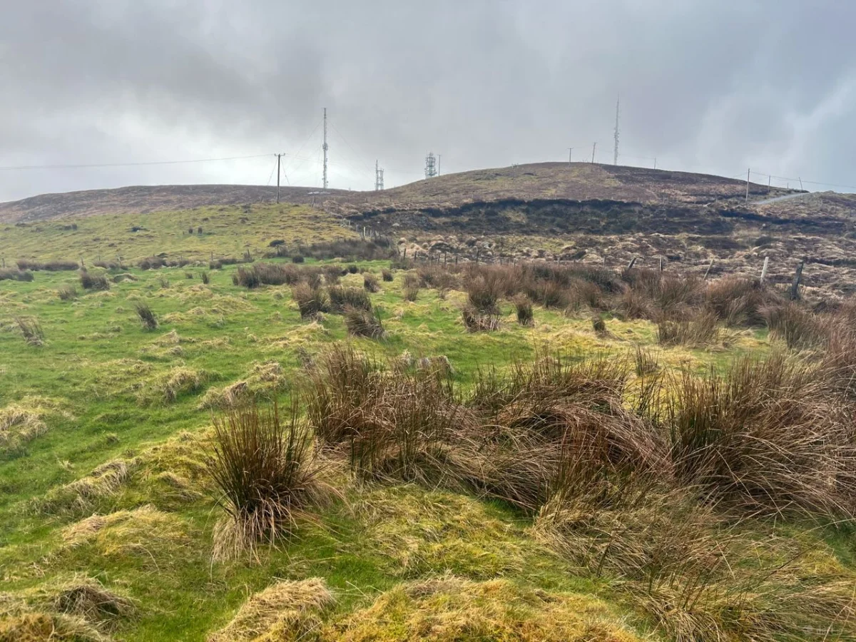 Gransha Upper, Castlemaine, Co. Kerry - Image 12