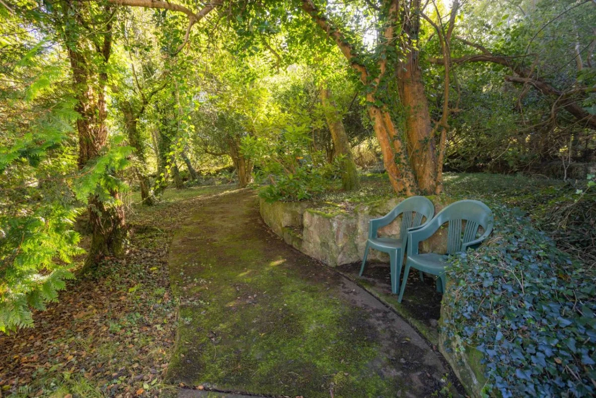 5 Caragh Lake Cottages, Caragh Lake, Killorglin, Co. Kerry - Image 35